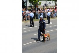 Fédération Nationale des Pompiers
